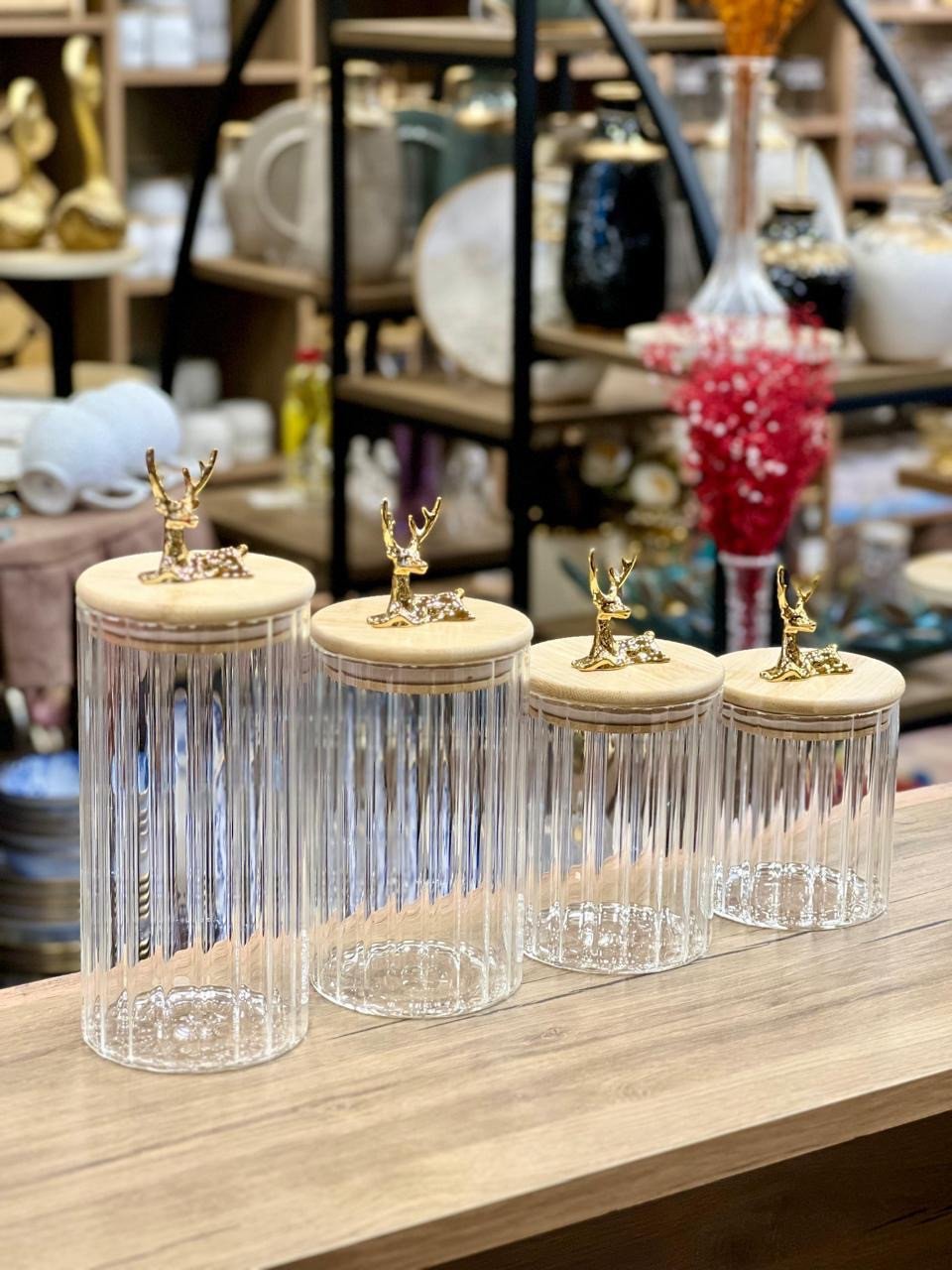 Lot de 4 Bocaux en Verre avec Couvercles en Bois